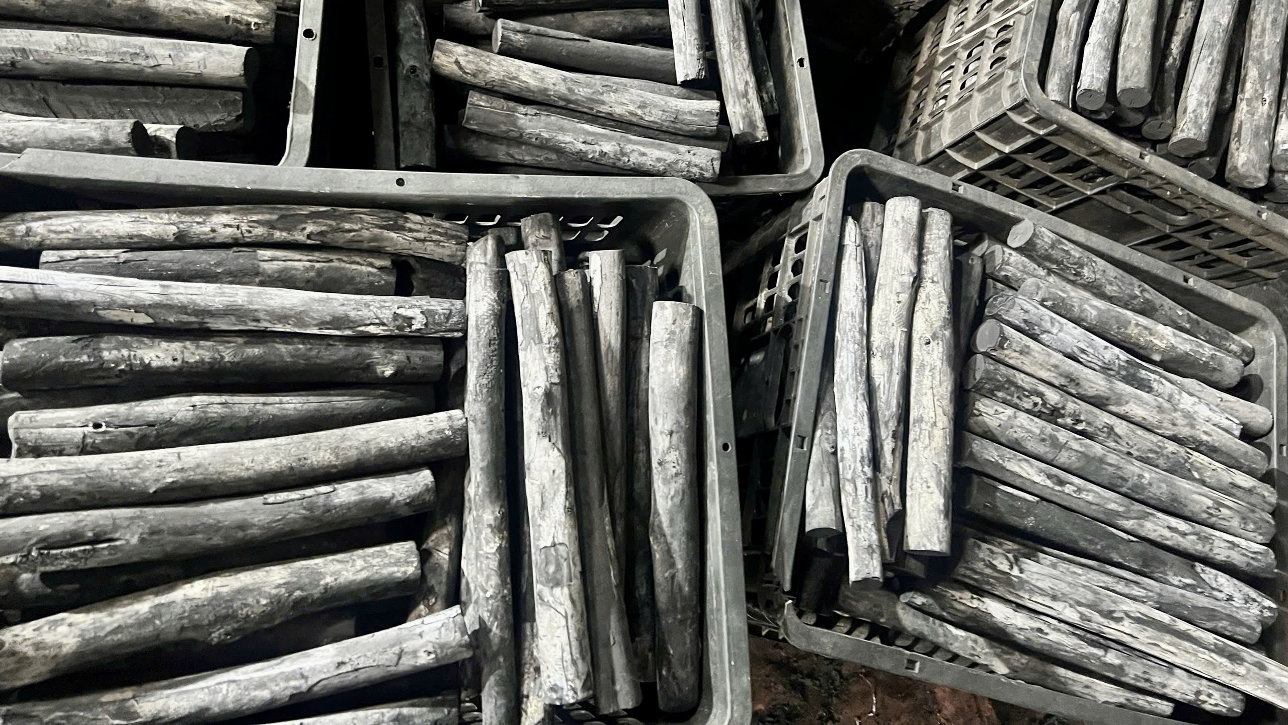 Vietnamese eucalyptus white charcoal sticks prepared for export buyers